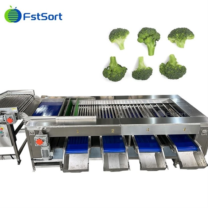 Broccoli Washing Grading Machinery price