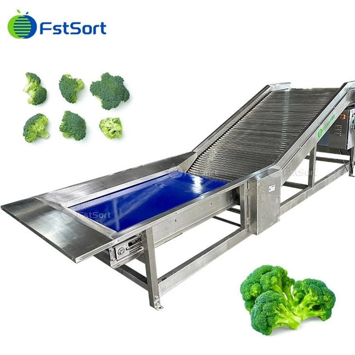 Broccoli Washing Grading Machinery high quality
