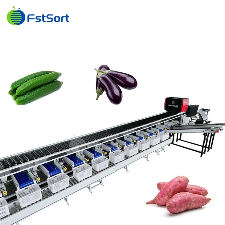 sweet potato optical sorting machine